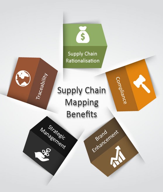 Supply chain mapping benefits
