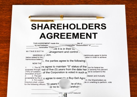 Shareholders Agreement Services